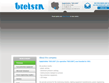 Tablet Screenshot of bielsin.com.pl